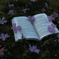 an open book laying in the grass surrounded by purple flowers