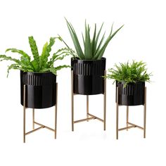 three black planters with plants in them sitting on metal stands against a white background