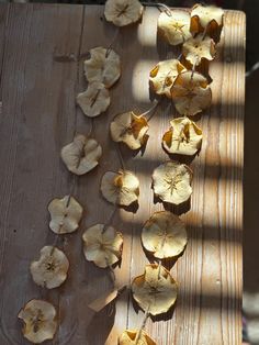 dried flowers on a wooden table in the sun