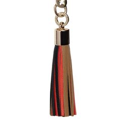 a keychain with a tassel hanging from it's side and a metal ring on the end