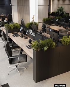 an office filled with lots of desks covered in plants