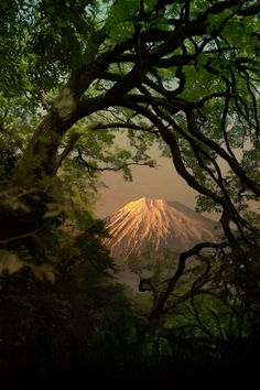 a mountain is seen through some trees in the distance, with sunlight shining on it's top