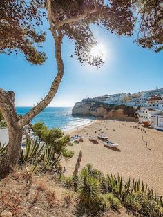 the beach is full of people and boats on it's shore, with houses in the background