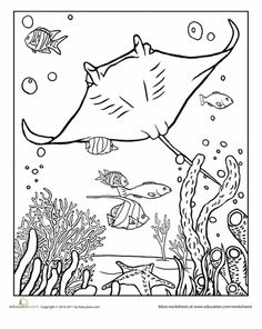 Surfboard Painting, Sea Quilt, Fish Crafts, Ocean Crafts, Diy Spring, Cool Coloring Pages, Print Out, Cute Coloring Pages