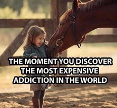 Cute Horse Quotes, Equestrian Memes, Horse Sayings, Equine Quotes, Horse Quotes Funny, Funny Horse Videos, Funny Horse Pictures, Horse Jokes, Inspirational Horse Quotes