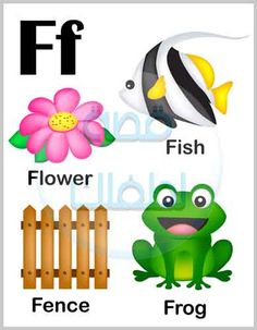 the letter f is for flower, fish, frog and flowers with pictures on it