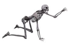 a skeleton is dancing in the air with its legs spread out and hands extended up