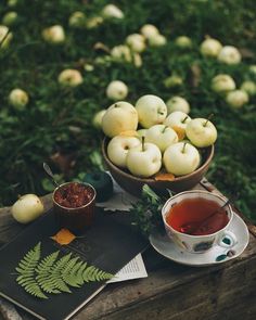 apples and tea on a table in the grass