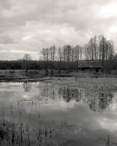 a black and white photo of a pond with trees in the background