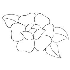 the outline of a flower on a white background