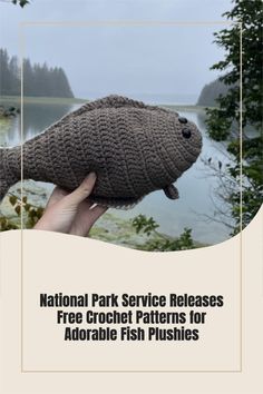 a person holding a stuffed animal in their hand with the caption national park service releases free crochet patterns for adorable fish plushies