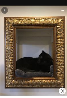 a black cat is laying in a gold frame