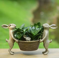 two rabbits are holding a basket with plants in it on a wooden table next to green grass