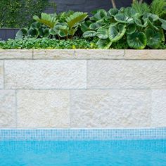 an empty swimming pool with plants growing on the side