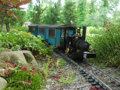 a small train traveling through a lush green forest