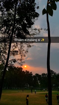 the sun is setting behind some trees and people are playing in the park on an overcast day