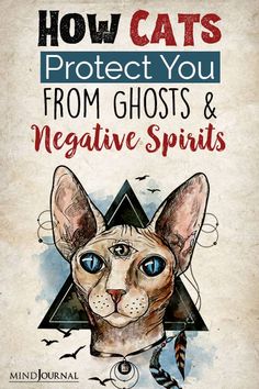 a book cover for how cats protect you from ghosts and negative spirits