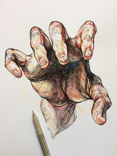 a pencil drawing of a hand holding something