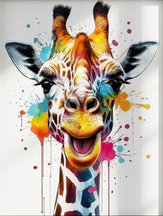 a giraffe with its mouth open and it's tongue out