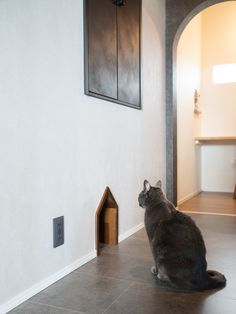 a cat sitting on the floor in front of a wall with a house shaped door