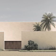 an architectural rendering of a modern house with palm trees in the front and side walls