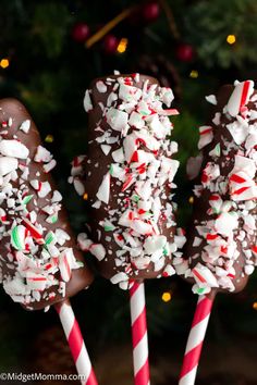 three chocolate covered candy canes with sprinkles in front of a christmas tree