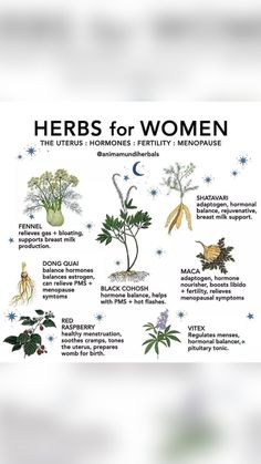 Herbs For Women, Natural Healing Herbs, Autogenic Training, Magical Herbs, Healing Plants