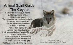 an animal spirit guide for the coyote