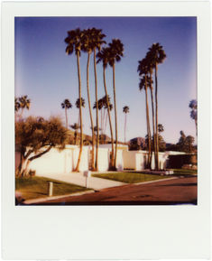 palm trees line the street in front of a house