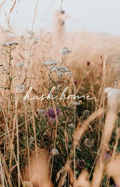 the words nick blame are in front of some tall grass and wildflowers