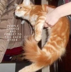 an orange and white cat is being held up by someone's hand with the caption people change and forget to tell each other