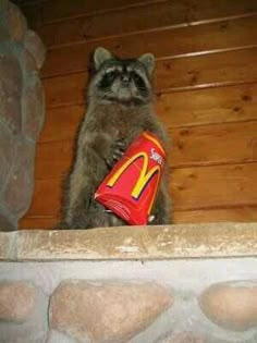 a raccoon holding a bag of mcdonald's chips