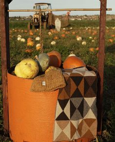 pumpkins and gourds sit in an orange bucket