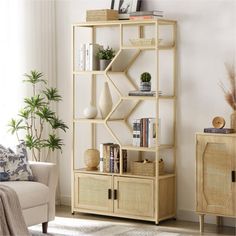 a living room filled with furniture and a book shelf on top of a wooden cabinet