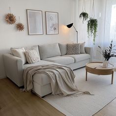 a living room with a couch, coffee table and potted plants on the wall