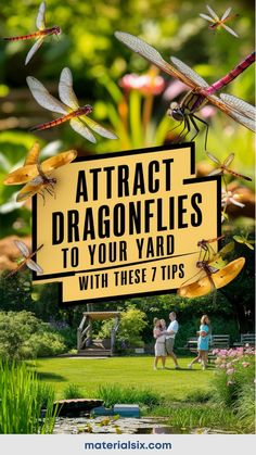 Attract dragonflies to your yard with these 7 tips. Moon Garden At Night, Space Watch, Garden At Night, Dragonfly Garden