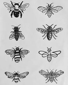 bees and honeybees are drawn in black ink on white paper, each with different designs