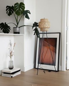 a living room with white walls and wooden flooring, plants in vases on the shelf