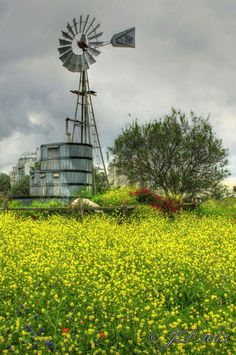 a windmill sitting on top of a lush green field filled with yellow wildflowers