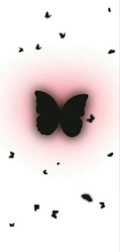 a group of black butterflies flying in the air with pink light behind them and white background