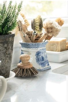 a vase filled with lots of brushes on top of a counter next to a potted plant