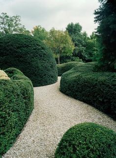 a path between two hedges in the middle of a garden with gravel and rocks on both sides