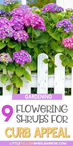 purple flowers growing on the side of a white picket fence with text overlay reading gardening flowering shrubs for curb appeal