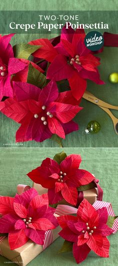 two pictures of poinsettia flowers with ribbons