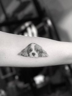 a black and white photo of a dog's face on the arm