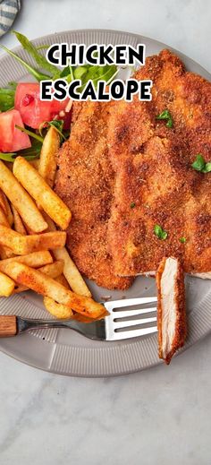 chicken escalope on a plate with french fries and tomato garnishes