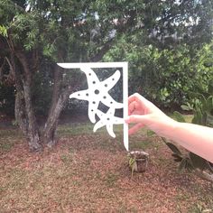 a hand holding up a cutout in the shape of a square and starfish