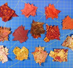 many different types of leaves on a blue cutting board with a ruler in front of them