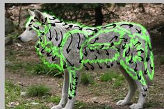 a white and green dog with black spots on it's fur standing in the grass