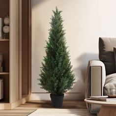 a living room with a couch, coffee table and potted tree